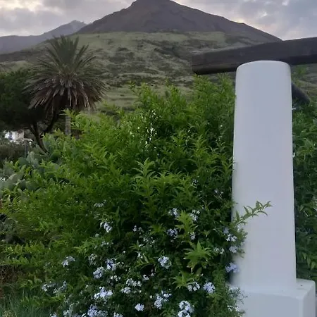 The Lighthouse *